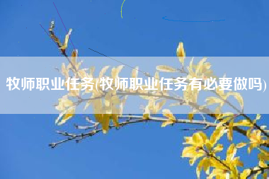 牧师职业任务(牧师职业任务有必要做吗)