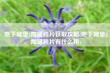 地下城堡3陶罐碎片获取攻略(地下城堡3陶罐碎片有什么用)