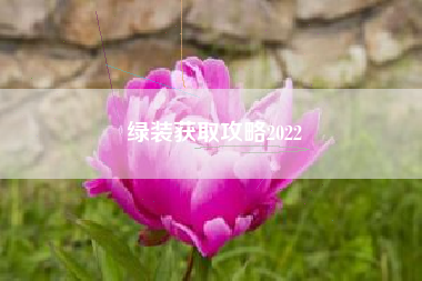 绿装获取攻略2022