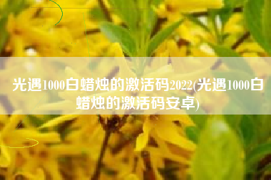 光遇1000白蜡烛的激活码2022(光遇1000白蜡烛的激活码安卓)