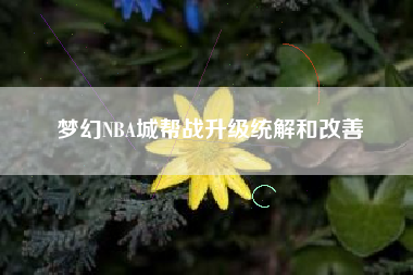 梦幻NBA城帮战升级统解和改善