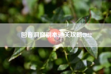 回音洞窟副本通关攻略2022
