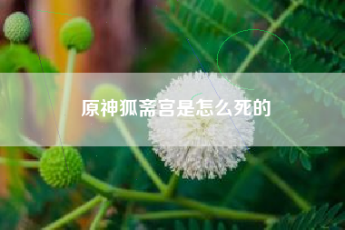 原神狐斋宫是怎么死的
