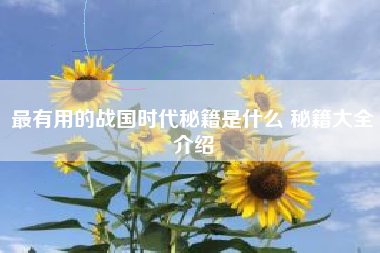 最有用的战国时代秘籍是什么 秘籍大全介绍 最有用的战国时代秘籍是什么 秘籍大全介绍