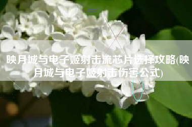 映月城与电子姬射击流芯片选择攻略(映月城与电子姬射击伤害公式) 映月城与电子姬射击流芯片选择攻略(映月城与电子姬射击伤害公式)