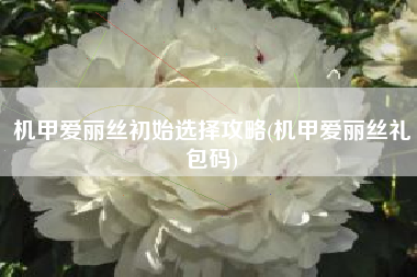 机甲爱丽丝初始选择攻略(机甲爱丽丝礼包码) 机甲爱丽丝初始选择攻略(机甲爱丽丝礼包码)