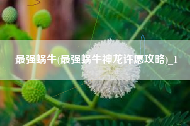 最强蜗牛(最强蜗牛神龙许愿攻略)_1