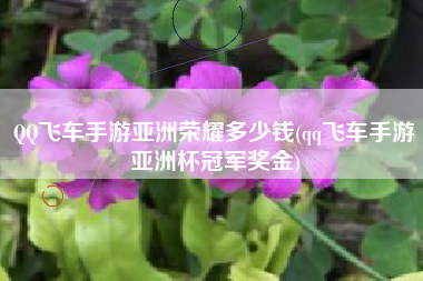 QQ飞车手游亚洲荣耀多少钱(qq飞车手游亚洲杯冠军奖金)