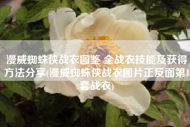 漫威蜘蛛侠战衣图鉴 全战衣技能及获得方法分享(漫威蜘蛛侠战衣图片正反面第1套战衣)