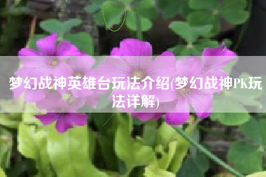 梦幻战神英雄台玩法介绍(梦幻战神PK玩法详解) 梦幻战神英雄台玩法介绍(梦幻战神PK玩法详解)