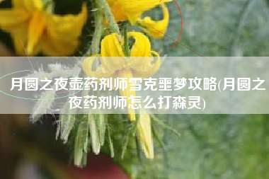 月圆之夜壶药剂师雪克噩梦攻略(月圆之夜药剂师怎么打森灵) 月圆之夜壶药剂师雪克噩梦攻略(月圆之夜药剂师怎么打森灵)