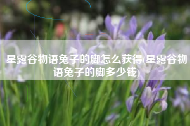星露谷物语兔子的脚怎么获得(星露谷物语兔子的脚多少钱) 星露谷物语兔子的脚怎么获得(星露谷物语兔子的脚多少钱)
