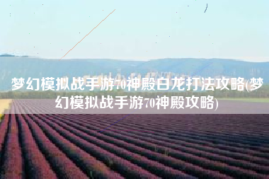 梦幻模拟战手游70神殿白龙打法攻略(梦幻模拟战手游70神殿攻略)