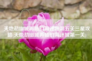 天地劫幽城再临幻海迷城第五关三星攻略(天地劫幽城再临幻海迷城第一关)