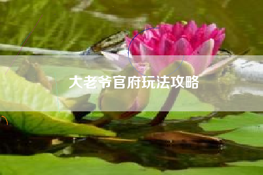 大老爷官府玩法攻略