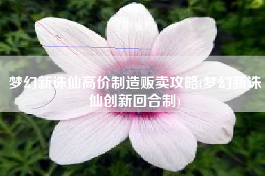 梦幻新诛仙高价制造贩卖攻略(梦幻新诛仙创新回合制)