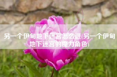 另一个伊甸地下迷宫怎么进(另一个伊甸地下迷宫的魔力角色)