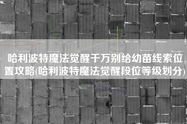 哈利波特魔法觉醒千万别给幼苗线索位置攻略(哈利波特魔法觉醒段位等级划分)