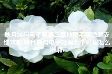 映月城与电子姬第二章地图手稿隐藏支线攻略(映月城与电子姬第七个彩蛋怎么出啊)