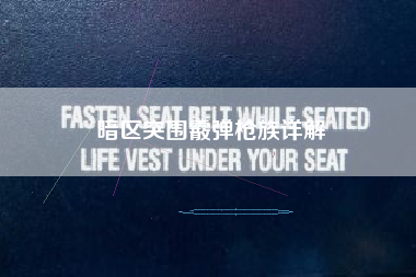 暗区突围霰弹枪族详解