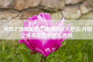 月圆之夜毒蛇女王飓风法杖火把法(月圆之夜毒蛇女王怎么遇到)