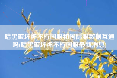 暗黑破坏神不朽国服和国际服数据互通吗(暗黑破坏神不朽国服最新消息)