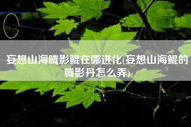 妄想山海腾影鲲在哪进化(妄想山海鲲的腾影丹怎么弄)