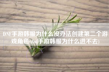 DNF手游韩服为什么没办法创建第二个游戏角色(dnf手游韩服为什么进不去)
