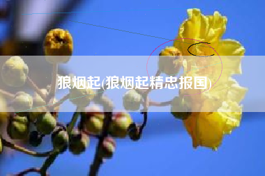 狼烟起(狼烟起精忠报国)