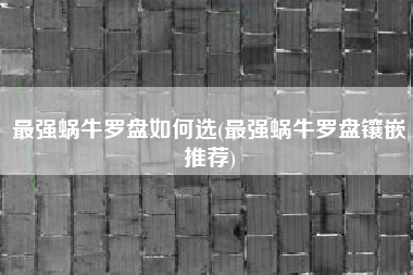 最强蜗牛罗盘如何选(最强蜗牛罗盘镶嵌推荐)
