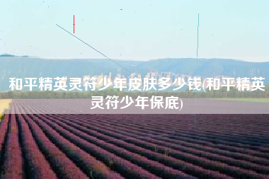 和平精英灵符少年皮肤多少钱(和平精英灵符少年保底)