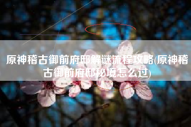 原神稽古御前府邸解谜流程攻略(原神稽古御前府邸秘境怎么过)