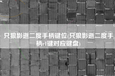只狼影逝二度手柄键位(只狼影逝二度手柄r1键对应键盘)