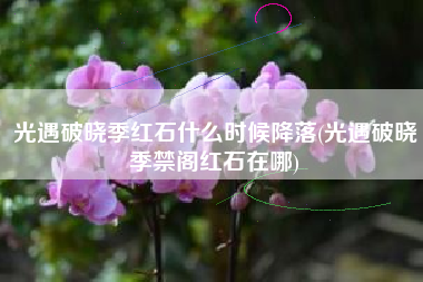 光遇破晓季红石什么时候降落(光遇破晓季禁阁红石在哪)