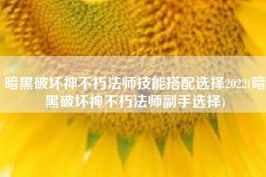 暗黑破坏神不朽法师技能搭配选择2022(暗黑破坏神不朽法师副手选择)