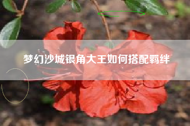 梦幻沙城银角大王如何搭配羁绊