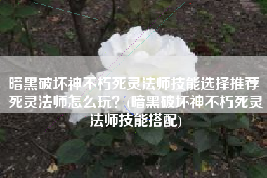 暗黑破坏神不朽死灵法师技能选择推荐 死灵法师怎么玩？(暗黑破坏神不朽死灵法师技能搭配)