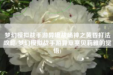 梦幻模拟战手游异境战场神之黄昏打法攻略(梦幻模拟战手游异章塞贝莉雅的觉悟) 梦幻模拟战手游异境战场神之黄昏打法攻略(梦幻模拟战手游异章塞贝莉雅的觉悟)