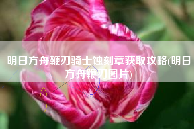 明日方舟鞭刃骑士蚀刻章获取攻略(明日方舟鞭刃图片) 明日方舟鞭刃骑士蚀刻章获取攻略(明日方舟鞭刃图片)
