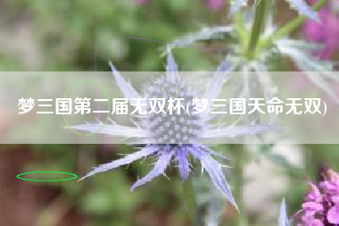 梦三国第二届无双杯(梦三国天命无双)