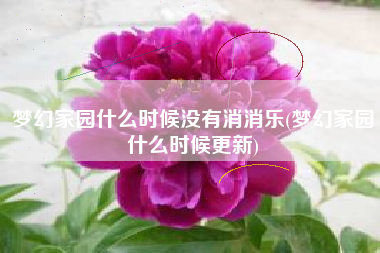 梦幻家园什么时候没有消消乐(梦幻家园什么时候更新)
