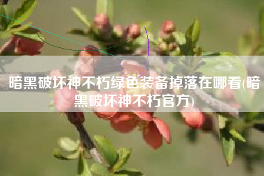 暗黑破坏神不朽绿色装备掉落在哪看(暗黑破坏神不朽官方)