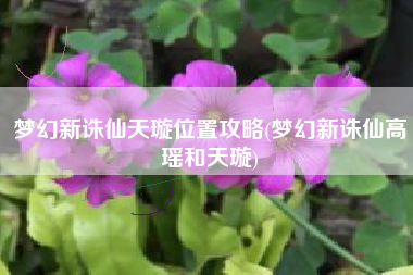 梦幻新诛仙天璇位置攻略(梦幻新诛仙高瑶和天璇) 梦幻新诛仙天璇位置攻略(梦幻新诛仙高瑶和天璇)