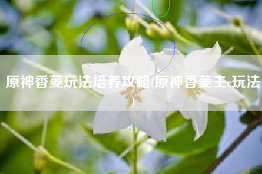 原神香菱玩法培养攻略(原神香菱主c玩法)