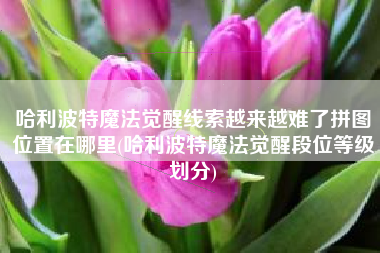 哈利波特魔法觉醒线索越来越难了拼图位置在哪里(哈利波特魔法觉醒段位等级划分)