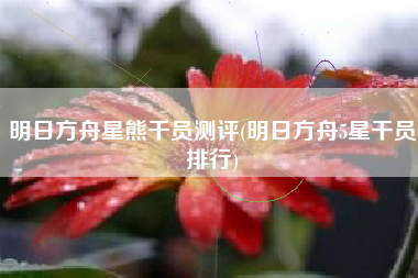 明日方舟星熊干员测评(明日方舟5星干员排行) 明日方舟星熊干员测评(明日方舟5星干员排行)
