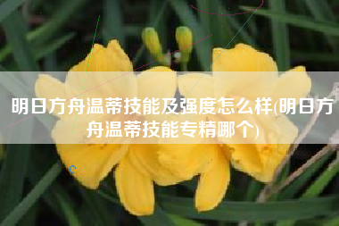明日方舟温蒂技能及强度怎么样(明日方舟温蒂技能专精哪个) 明日方舟温蒂技能及强度怎么样(明日方舟温蒂技能专精哪个)