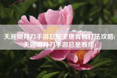 天涯明月刀手游总舵主唐青枫打法攻略(天涯明月刀手游总是断线)