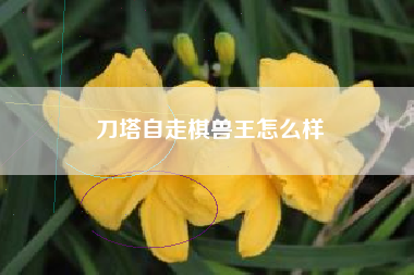 刀塔自走棋兽王怎么样