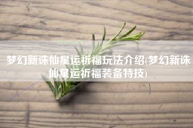 梦幻新诛仙星运祈福玩法介绍(梦幻新诛仙星运祈福装备特技)